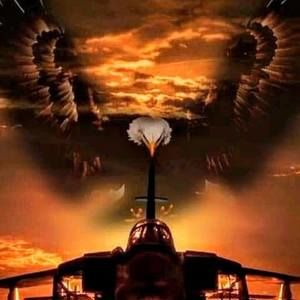 Meet your Posher, Eileen